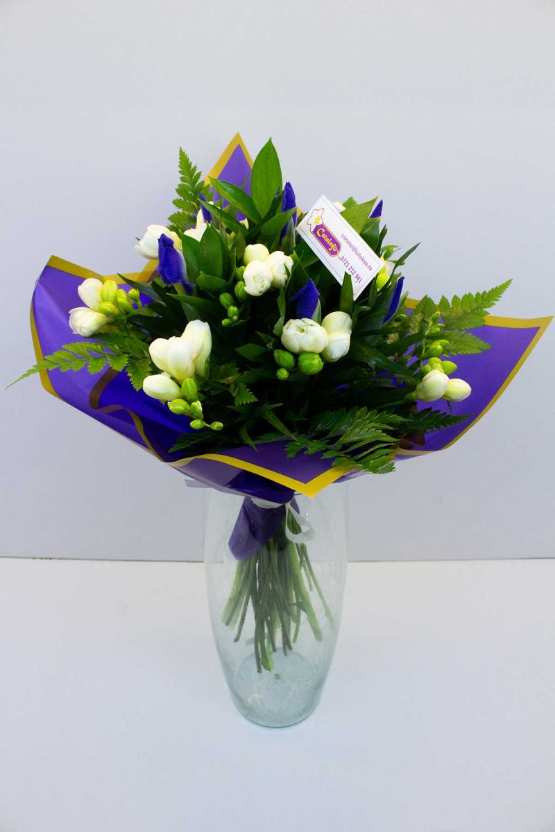 Buchet fresia