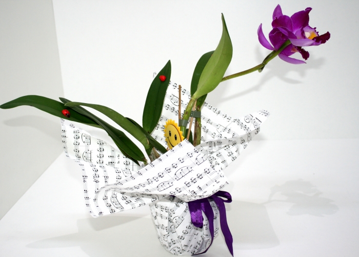 Orhidee Cattleya