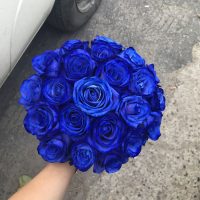 Oferta nunta albastra